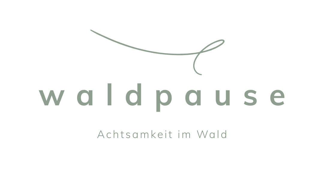 Waldpause – Achtsamkeit im Wald