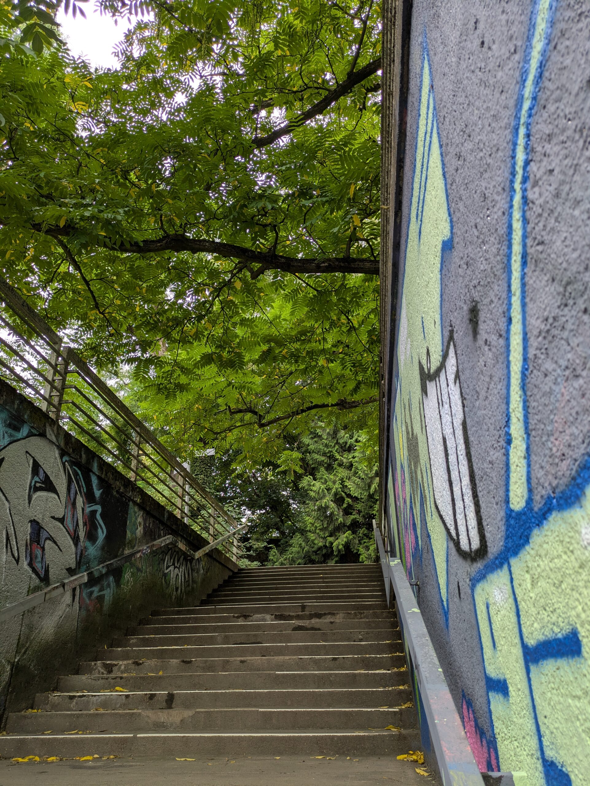 Treppe, die ins Grüne führt. Unten Graffiti an der Wand